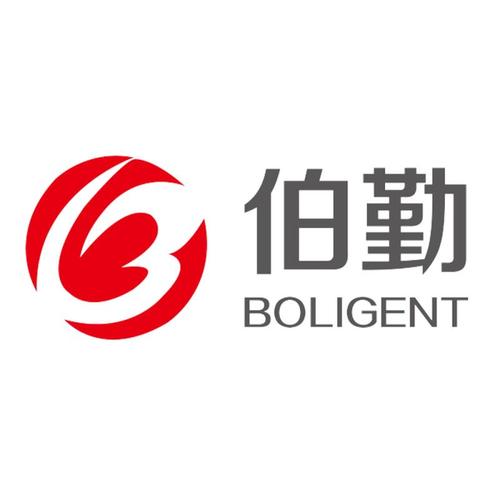 付国成与他的专业领域 审查企业会计报表、出具审计报告及审计咨询服务
